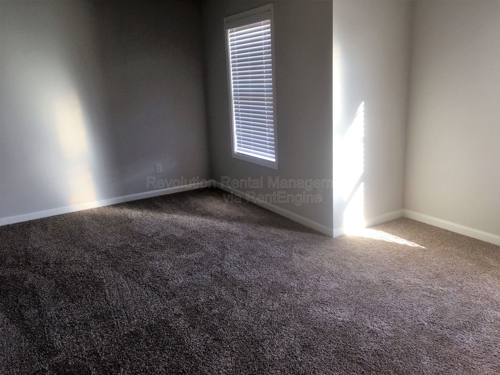 823 Python Drive property image