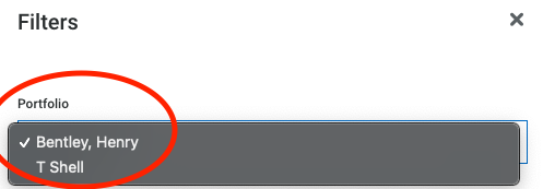 Portfolio dropdown option